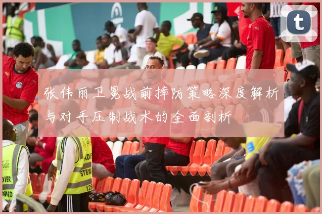 张伟丽卫冕战前摔防策略深度解析与对手压制战术的全面剖析